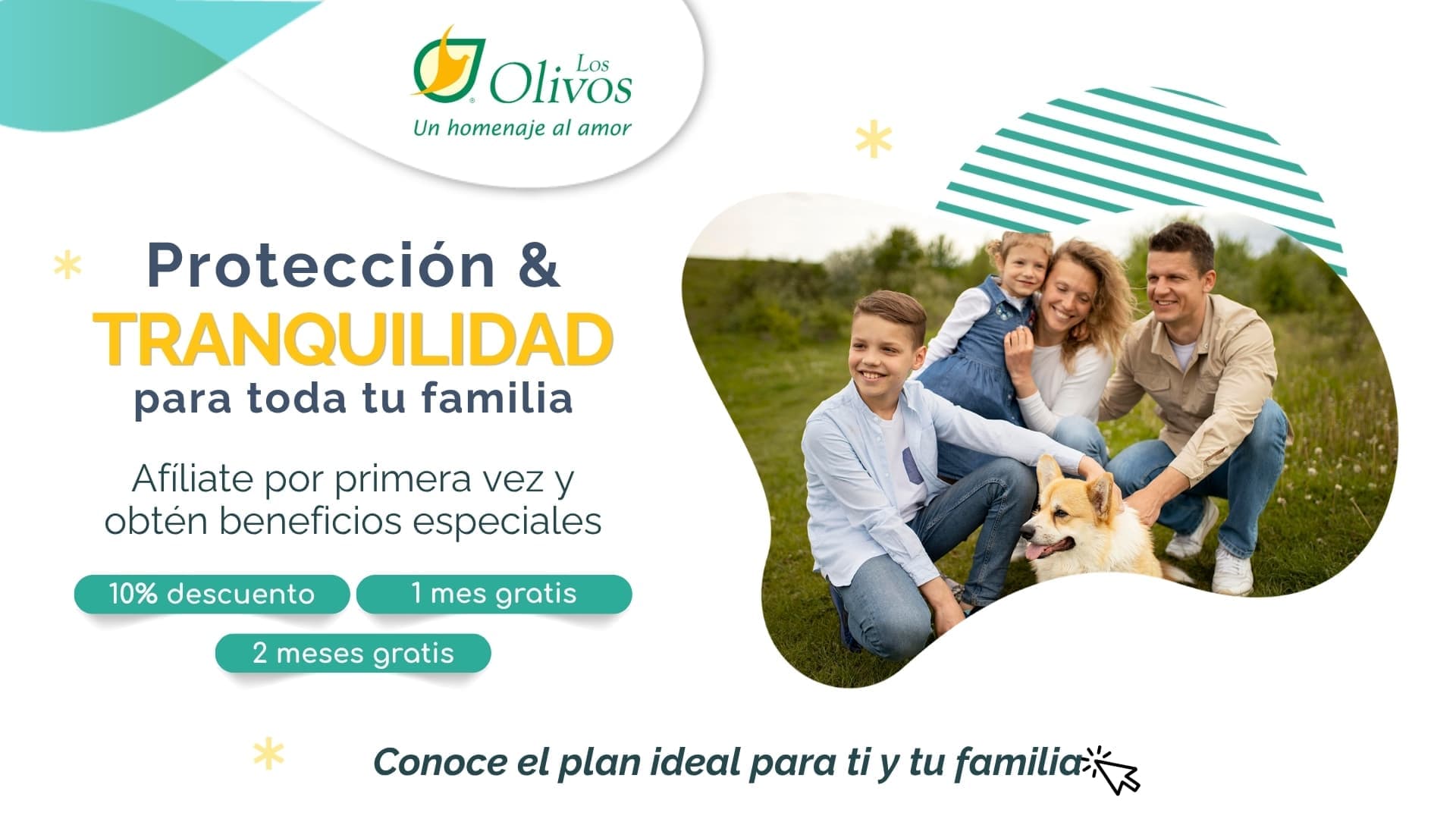 Protección & Tranquilidad